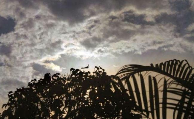 बिहार : मौसम में जारी है उतार-चढ़ाव, कभी गर्मी तो कभी सर्दी, 25 मार्च से फिर बदलेगा मौसम...जानें