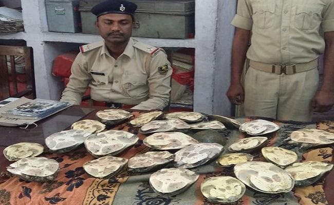 बिहार के गया जंक्शन से 25 जिंदा कछुए बरामद, तस्कर फरार