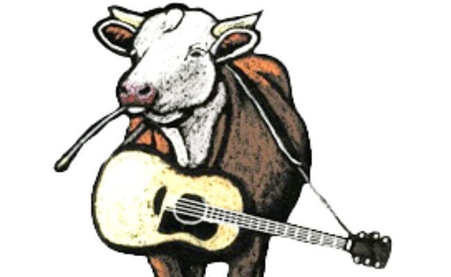 यहां गाय संगीत सुनकर देती है ज्यादा दूध