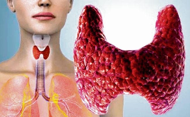 थायरॉइड डिसऑर्डर के सूक्ष्म लक्षणों की न करें अनदेखी....जानें इसके बारे में