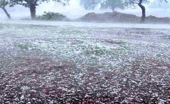 VIDEO : बिहार : तेज आंधी और ओलावृष्टि से 10 की मौत, 12 घायल