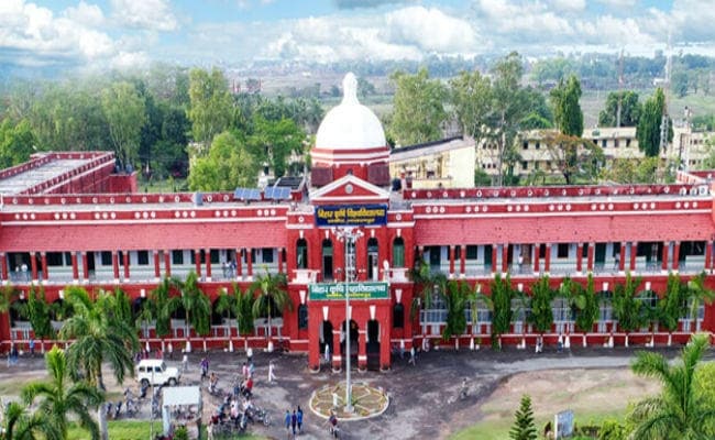 बिहार के जर्दालु आम, कतरनी धान और मगही पान को मिली अंतरराष्ट्रीय पहचान