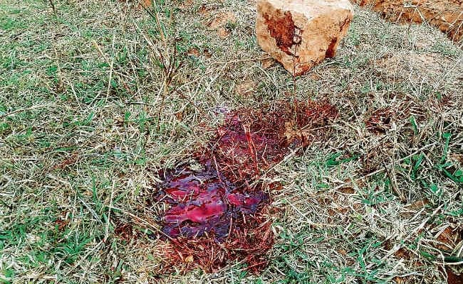 झारखंड : एसएसपी ने जमीन कारोबारियों पर नजर रखने का दिया था निर्देश, पर नहीं माने, मार्च में जानें कितनी हुई हत्याएं