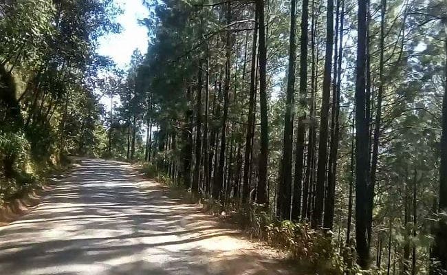 रोड ट्रिप तीसरी कड़ी : नेपाल में पहला दिन और काठमांडू की नाइट लाइफ
