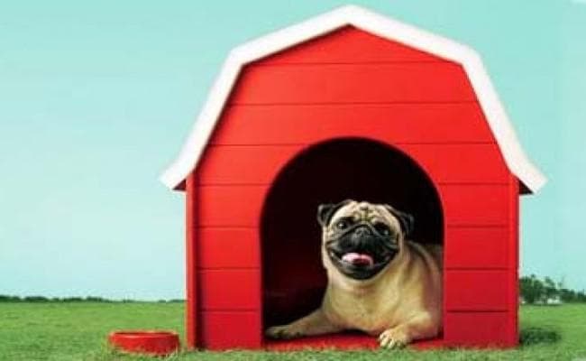 अब आप टेलीविजन पर नहीं देख सकेंगे वोडाफोन का ''छोटे कुत्ताें'' वाला विज्ञापन, जानिये क्यों...?