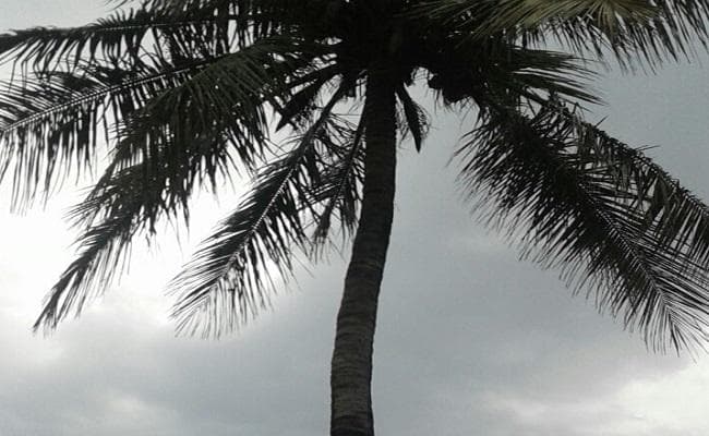 बिहार में आंधी पानी के दौरान ठनका गिरने से 14 लोगों की मौत, तीन घायल