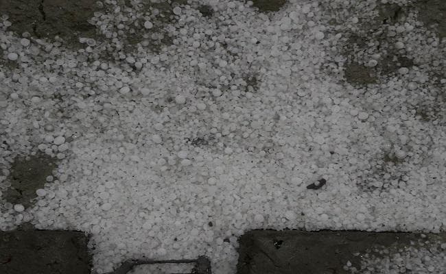 बिहार : आंधी के बाद गिरी बिजली, आसमान से ओलों की बरसात, गेहूं-मक्के की फसल को नुकसान