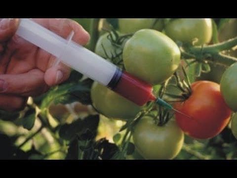 केंद्र सरकार ने लव हार्मोन ऑक्सीटोसिन के आयात को किया प्रतिबंधित