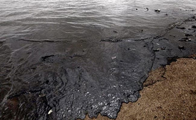 तेल रिसाव को साफ करेगा बैक्टेरिया