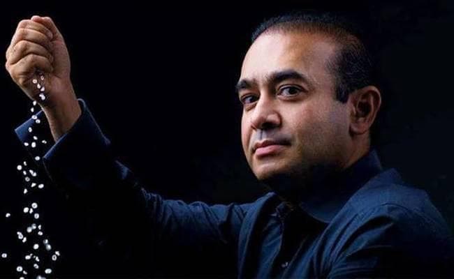 PNB Scam : हाईकोर्ट का रुख कड़ा, फायरस्टार डायमंड से कहा, ‘ नीरव मोदी भगोड़ा, वापस बुलाओ''