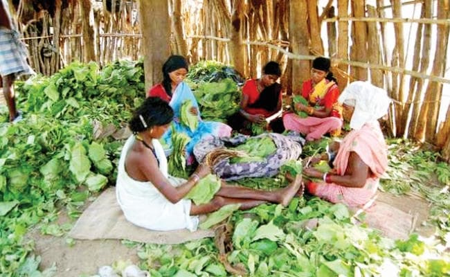 जमींदारी के जुल्म का वह कारुणिक गीत