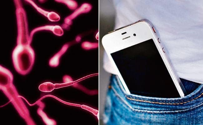 स्मार्टफोन रेडिएशन से नपुंसकता का बढ़ता जोखिम, महिलाओं के लिए खतरे की घंटी