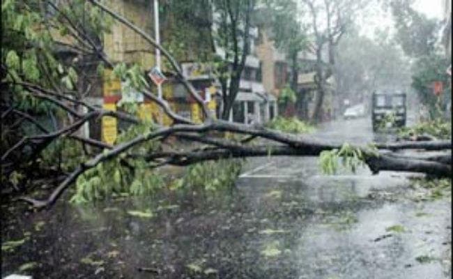 काल वैशाखी का कहर: 72 सालों में पहली बार 98 किलोमीटर की रफ्तार से आया तूफान, 13 मरे