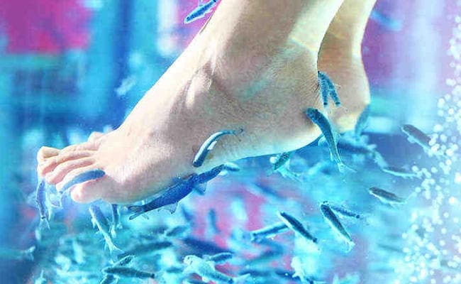 रांची में भी बढ़ रहा है पैरों को खूबसूरत व आकर्षक बनाने का ट्रेंड, फिश स्पा की बढ़ी डिमांड