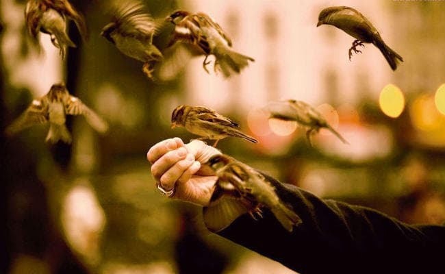 परमपुरुष की प्राप्ति से ही मिलता है आनंद, 29 अप्रैल को आनंद पूर्णिमा उत्सव