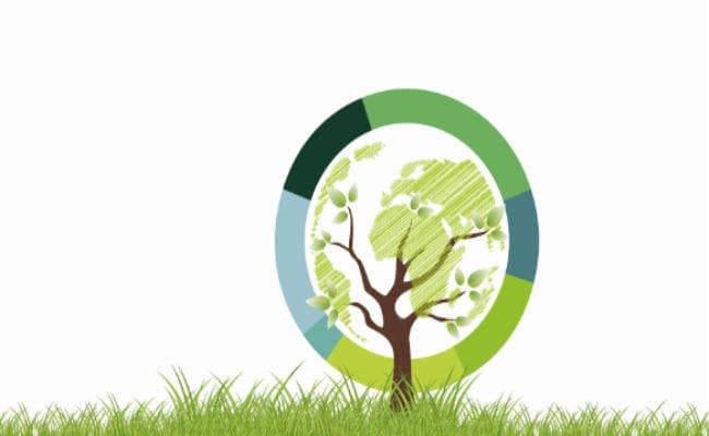 विश्व पृथ्वी दिवस: नहीं चेते, तो 50 साल में उजड़ जायेगी दुनिया