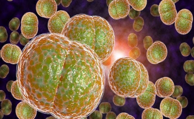 मिल गयी इस खतरनाक फंगल इन्फेक्शन के फैलने की वजह