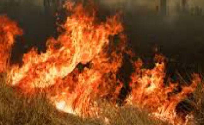 इंडोनेशिया में एक तेल के कुएं में लगी आग, 10 की मौत