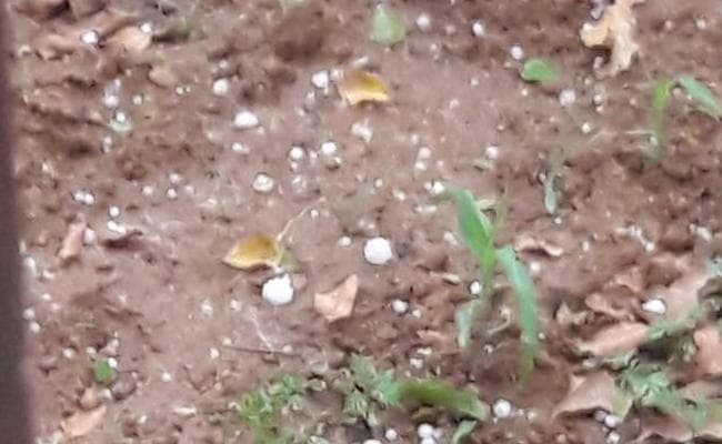 बोकारो का मौसम बदला, बारिश के साथ गिरे बर्फ, धनबाद, रामगढ़, कोडरमा में भी बदलेगा मौसम