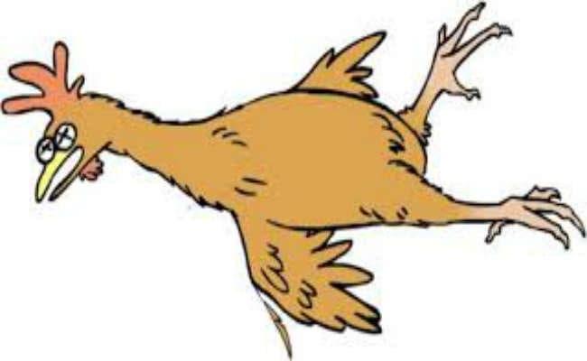 मरी मुर्गियों का मांस बेचने का खुलासा