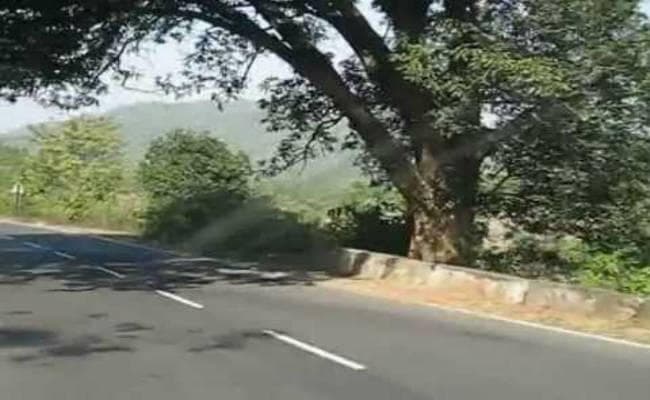 14 लाख से बनी सड़क, अब फिर खर्च होंगे 50 लाख