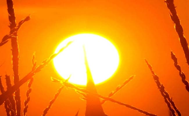 आसमां से बरस रही आग, पारा 44 डिग्री सेल्सियस तक पहुंचा