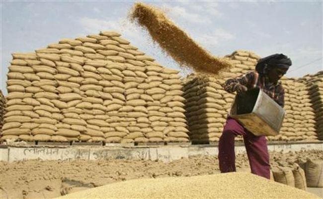 WTO में अमेरिका ने लगाया आरोप, बोला-गेहूं-चावल पर सब्सिडी की सीमा तोड़ रहा भारत
