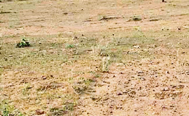 फर्जीवाड़ा : राजधानी में जमीन म्यूटेशन में बड़े पैमाने पर की जा रही है गड़बड़ी