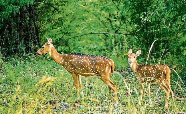 VTR: अब स्पेशल एसी सुपरफास्ट पैंसेजर ट्रेन से जाएं वाल्मीकि नगर, जानें कितना होगा किराया..
