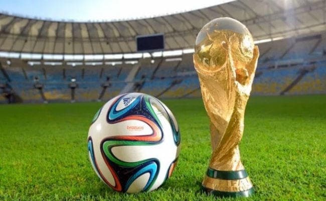 फिफा फुटबॉल विश्व कप : ईरान ने टीम की घोषणा की