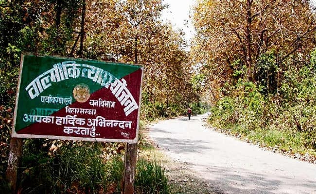 मुख्यमंत्री नीतीश कुमार आज जायेंगे वाल्मीकि टाइगर रिजर्व, कौशल विकास केंद्र और हाथी शेड का करेंगे उद्घाटन