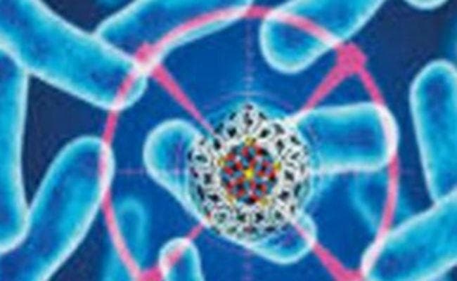 सावधान! तेजी से पांव पसार रहा है NiPah वायरस, जानें बचाव के तरीके