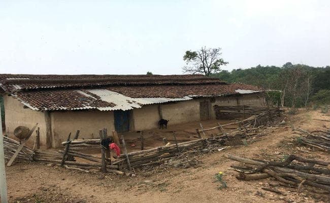 नक्सल प्रभावित  झुमरा पहाड़ से ग्राउंड रिपोर्ट  : जंगल के बीच अकेला परिवार, नहीं पहुंची कोई सरकारी योजना