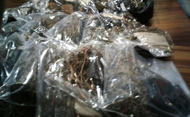 एयरपोर्ट : महिला के बैग से मिला 12 किलो गांजा, गिरफ्तार