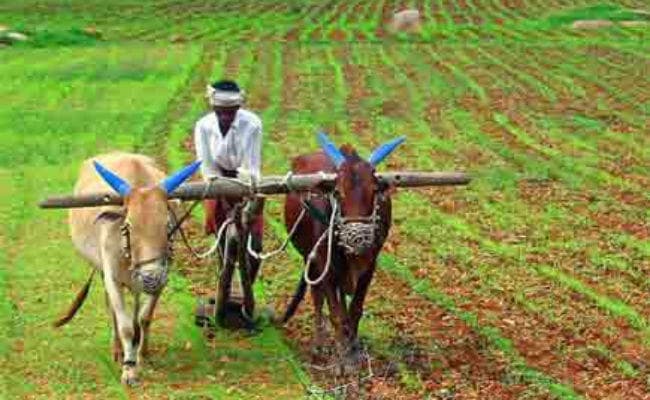 किसानों का लगान माफी आंदोलन