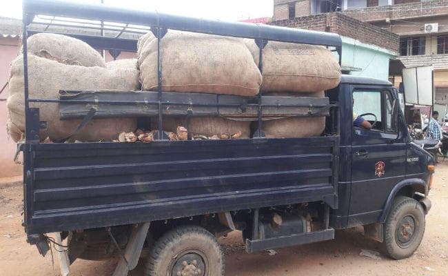 झारखंड : अवैध बीड़ी पत्ता कारोबारियों पर प्राथमिकी, छापामारी अभियान तेज