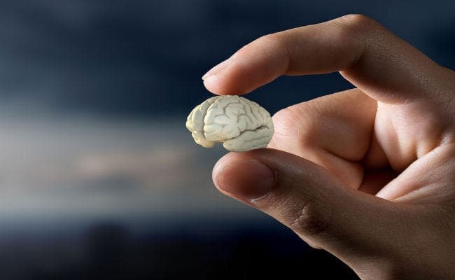 Health News: 3D मस्तिष्क तैयार, देखने में है बिलकुल असली जैसा! करेगा यह काम