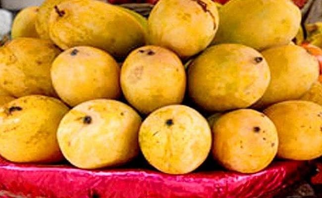 विक्रमशिला एक्सप्रेस से राष्ट्रपति व प्रधानमंत्री को भेजा गया भागलपुरी जर्दालू आम