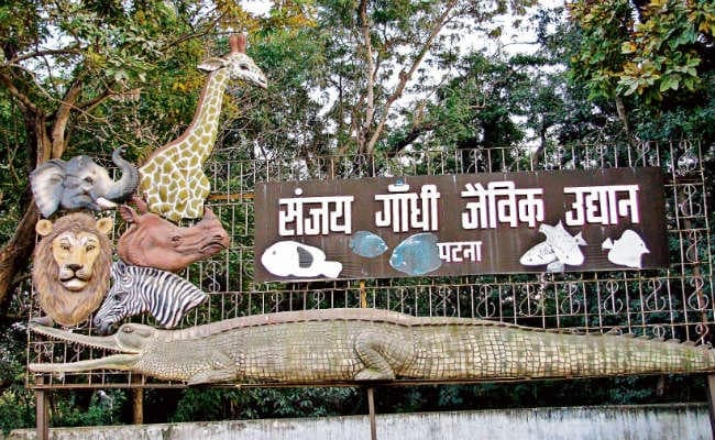अनलॉक-1 : बिहार में आज से खुलेंगे सभी पार्क व चिड़ियाघर