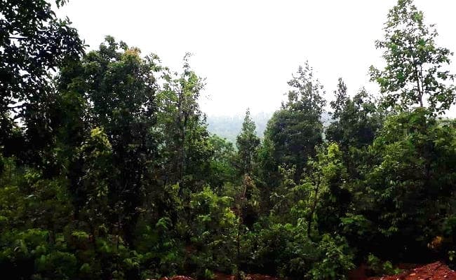 झारखंड : नक्सलियों के साथ भीषण मुठभेड़ में 2 जवान शहीद, ASI समेत 9 घायल