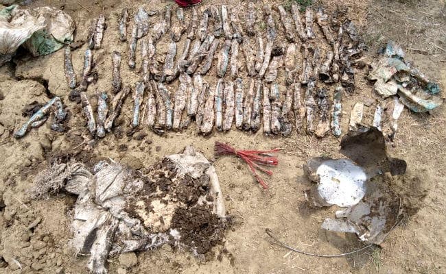 गया : कैथी गांव से भारी मात्रा में झारखंड का लेबल लगा विस्फोटक बरामद, पुल-पुलिया और गाड़ी उड़ाने में माओवादी करते हैं इस्तेमाल