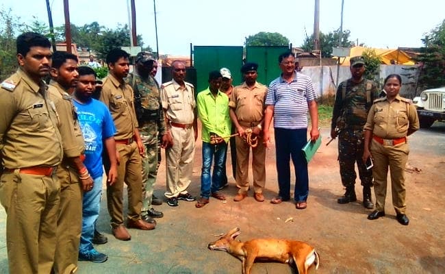 IN PICS : झारखंड : पानी की तलाश में शहर आ गया था नर हिरण, लोगों ने पीट-पीटकर मार डाला