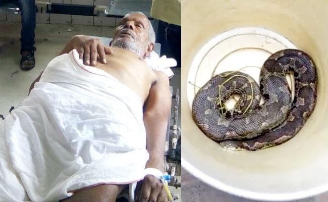भोजपुर : …जब दुकानदार को सांप डसने के बाद इलाज कराने गये परिजनों ने चिकित्सक के टेबल पर रख दिया सांप