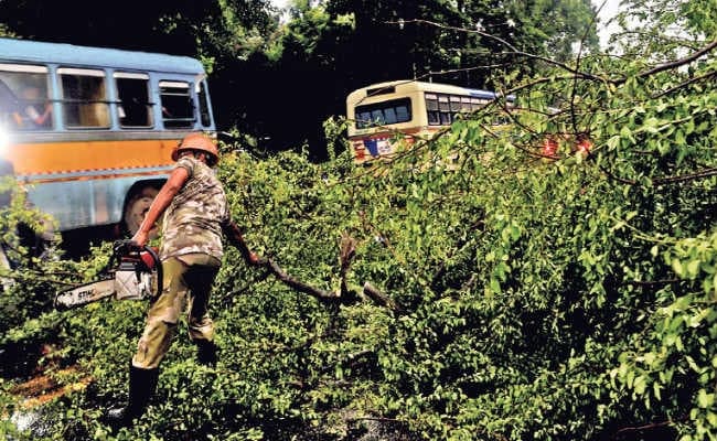 बंगाल में वज्रपात ने ढाया कहर, 10 की मौत, जानिए अगले 24 घंटों में कैसा रहेगा बिहार, झारखंड और बंगाल का मौसम