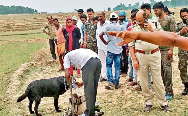 डेढ़ माह पहले से लापता युगल की तलाश जारी, प्रेमी का शव मिला, प्रेमिका का कोई सुराग नहीं