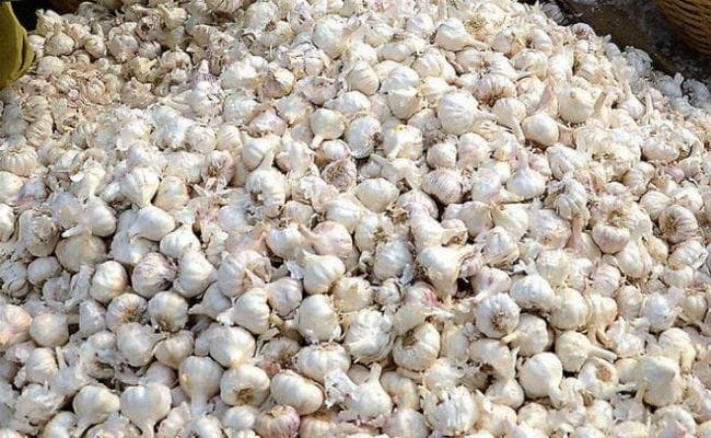 लहसुन का उचित मूल्य नहीं मिलने से अवसादग्रस्त था किसान, हृदयाघात से हो गयी मौत!