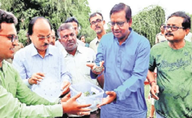 तीस्ता उद्यान में बनेगा तितली पार्क