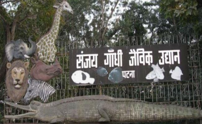 वर्ल्ड लेवल का डेवलेप होगा बिहार का इकलौता चिड़ियाघर, सेंट्रल जू अथॉरिटी ने किया संजय गांधी जैविक उद्यान का चयन