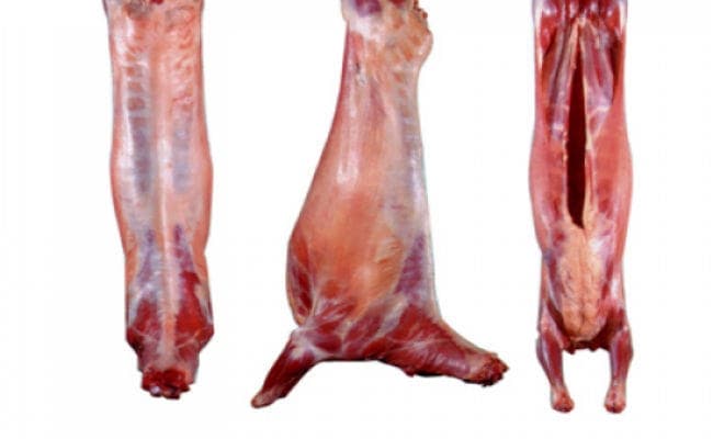 सिमडेगा में मृत बकरी का मांस खा दो लोग एंथ्रेक्स के हुए शिकार