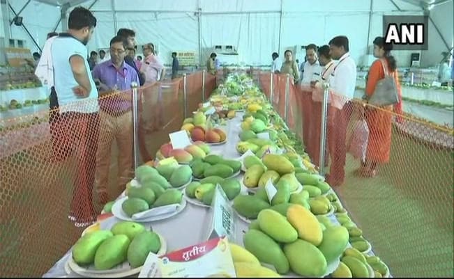 योगी ब्रांड कुर्ते के बाद अब यूपी के बाजार में आया ''योगी आम''